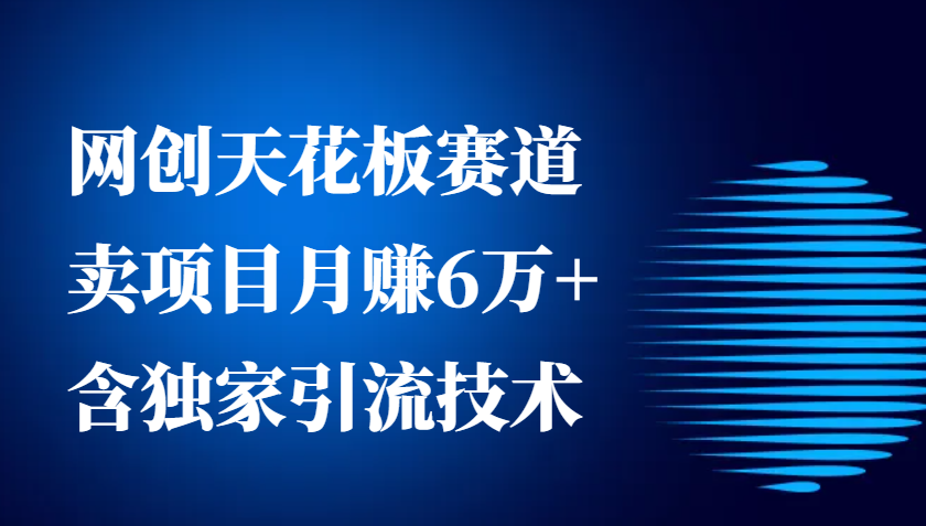 网创天花板赛道,卖项目月赚6万+,含独家引流技术(共26节课)